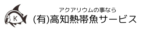 アクアリウムの事なら(有)高知熱帯魚サービス公式ホームページ